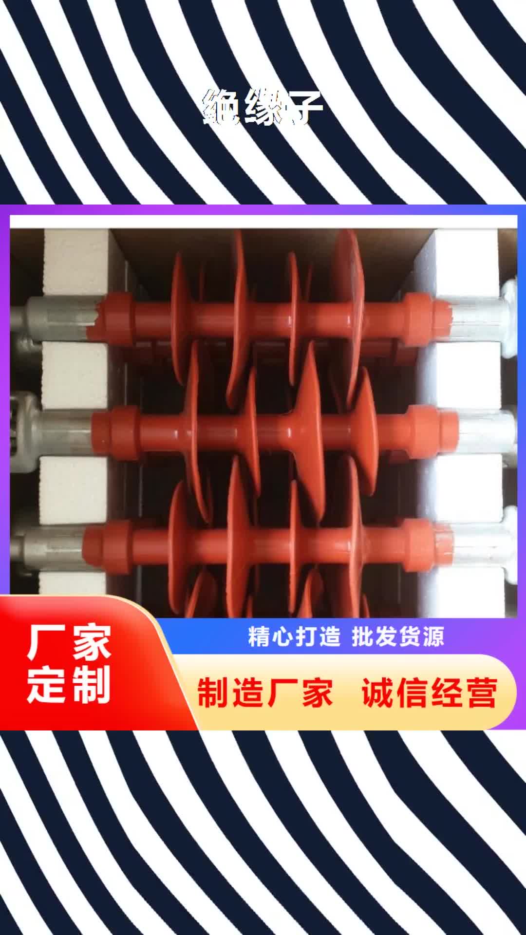 淮安【绝缘子】,氧化锌避雷器颜色尺寸款式定制