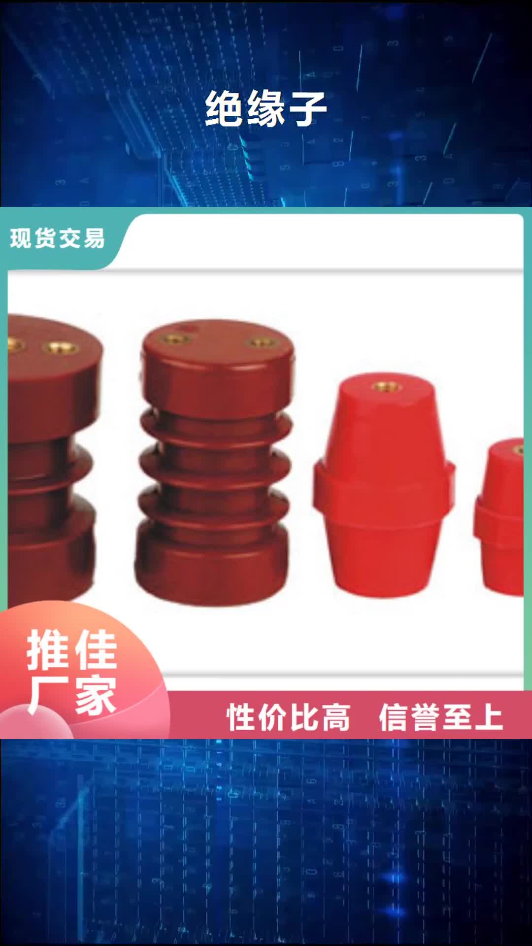 【沧州 绝缘子_穿墙套管源头厂家供应】