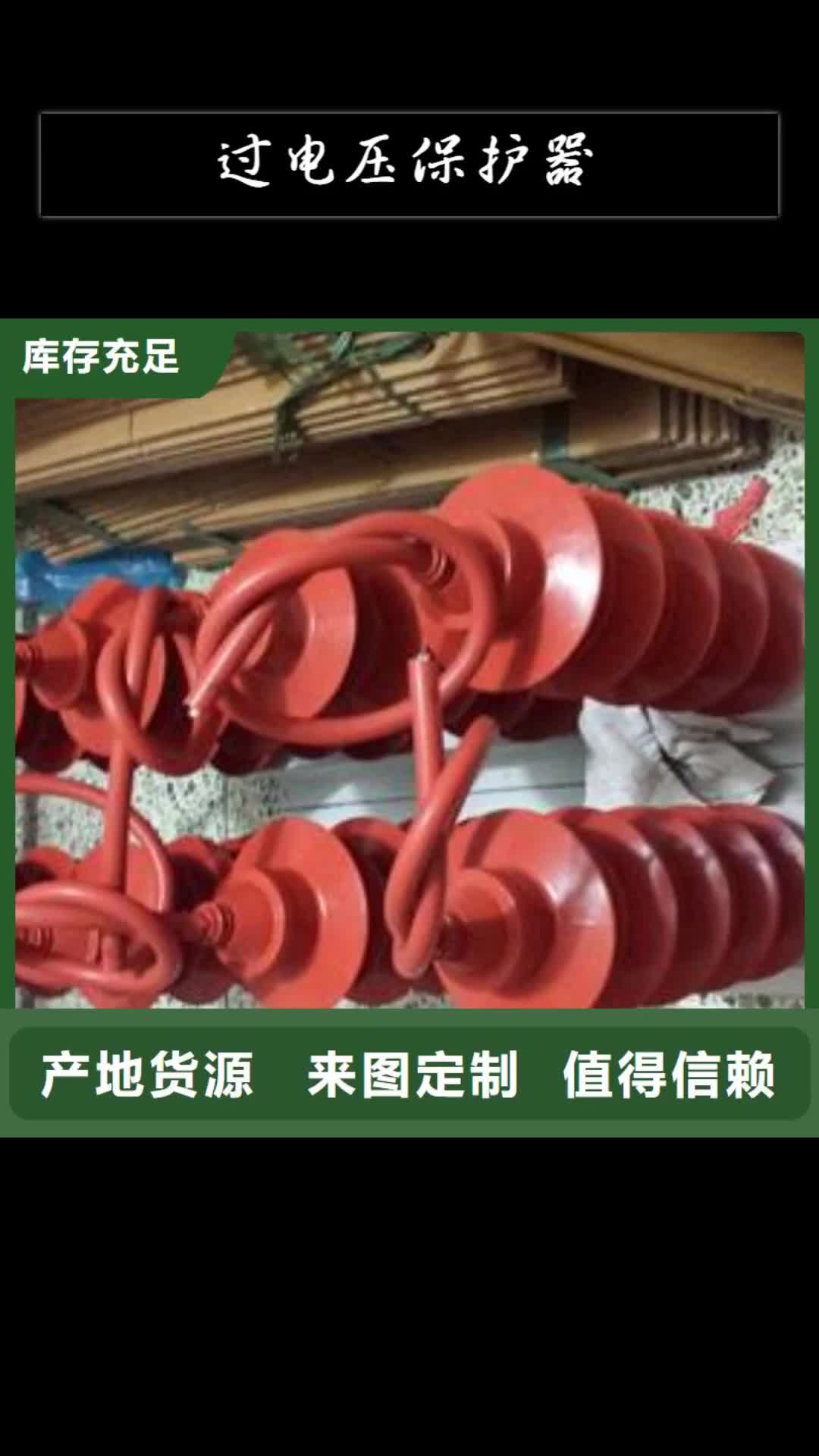 郴州过电压保护器高低压电器技术先进