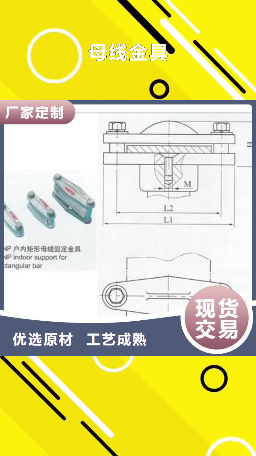 莆田 母线金具 【氧化锌避雷器】厂家实力雄厚