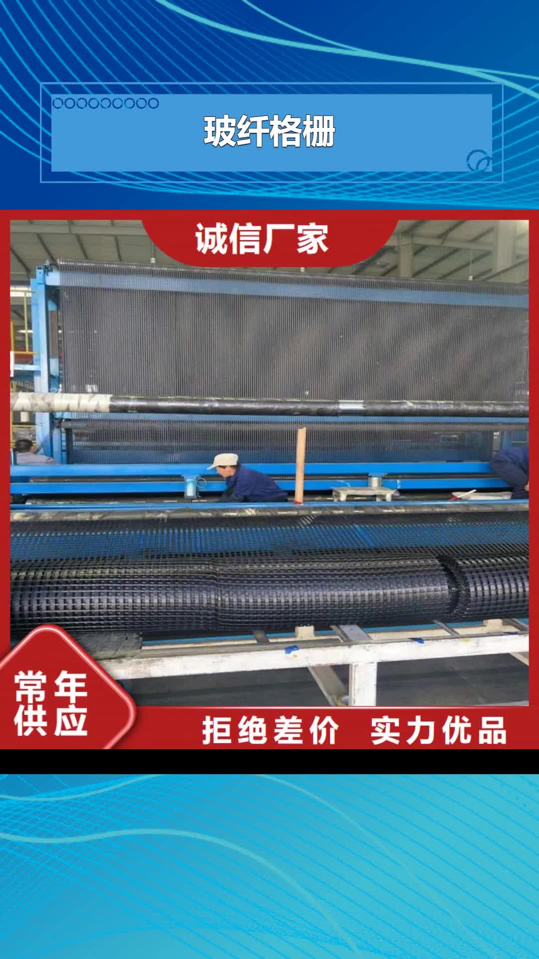 浙江 玻纤格栅 【高强度土工网】支持加工定制