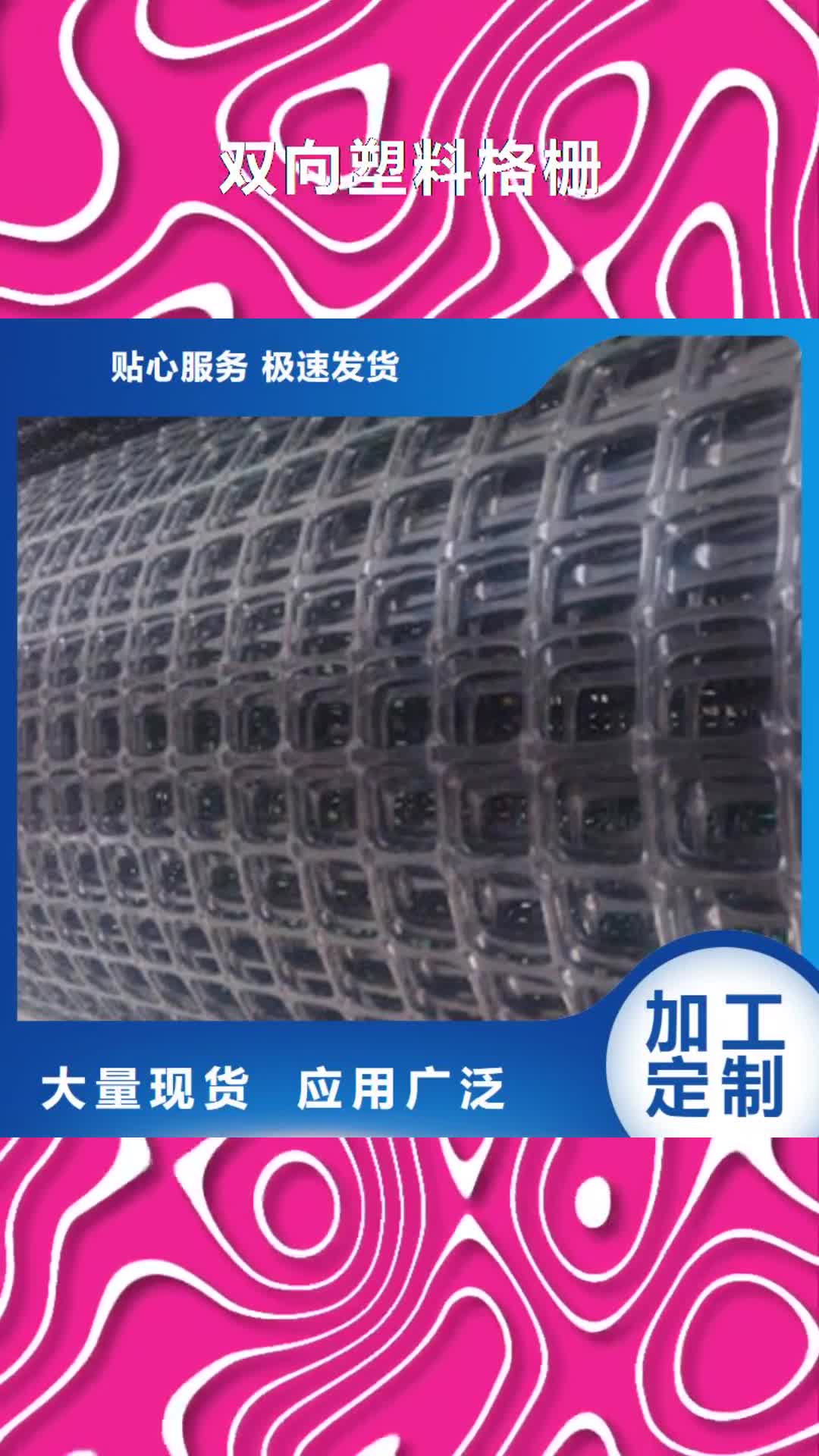 漳州【双向塑料格栅】_膨润土防水毯质量无忧
