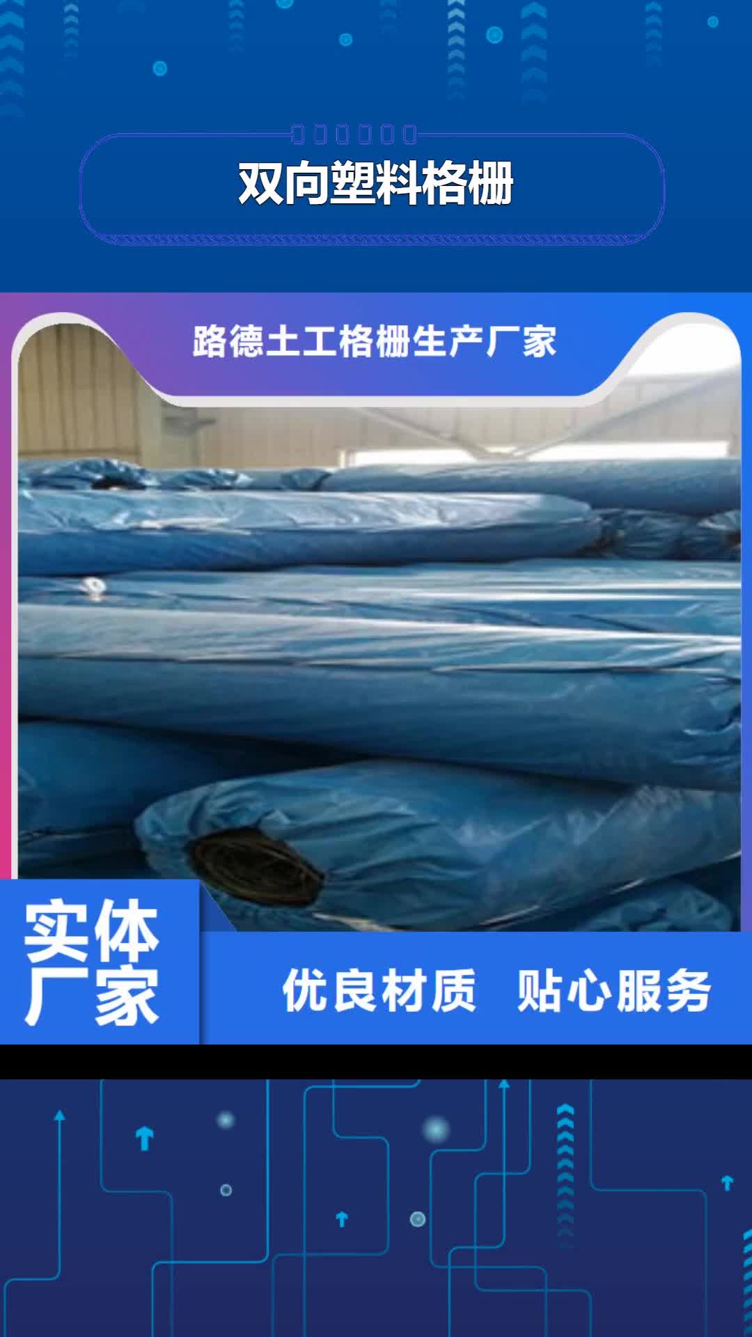 福州【双向塑料格栅】-膨润土防水毯多种规格库存充足