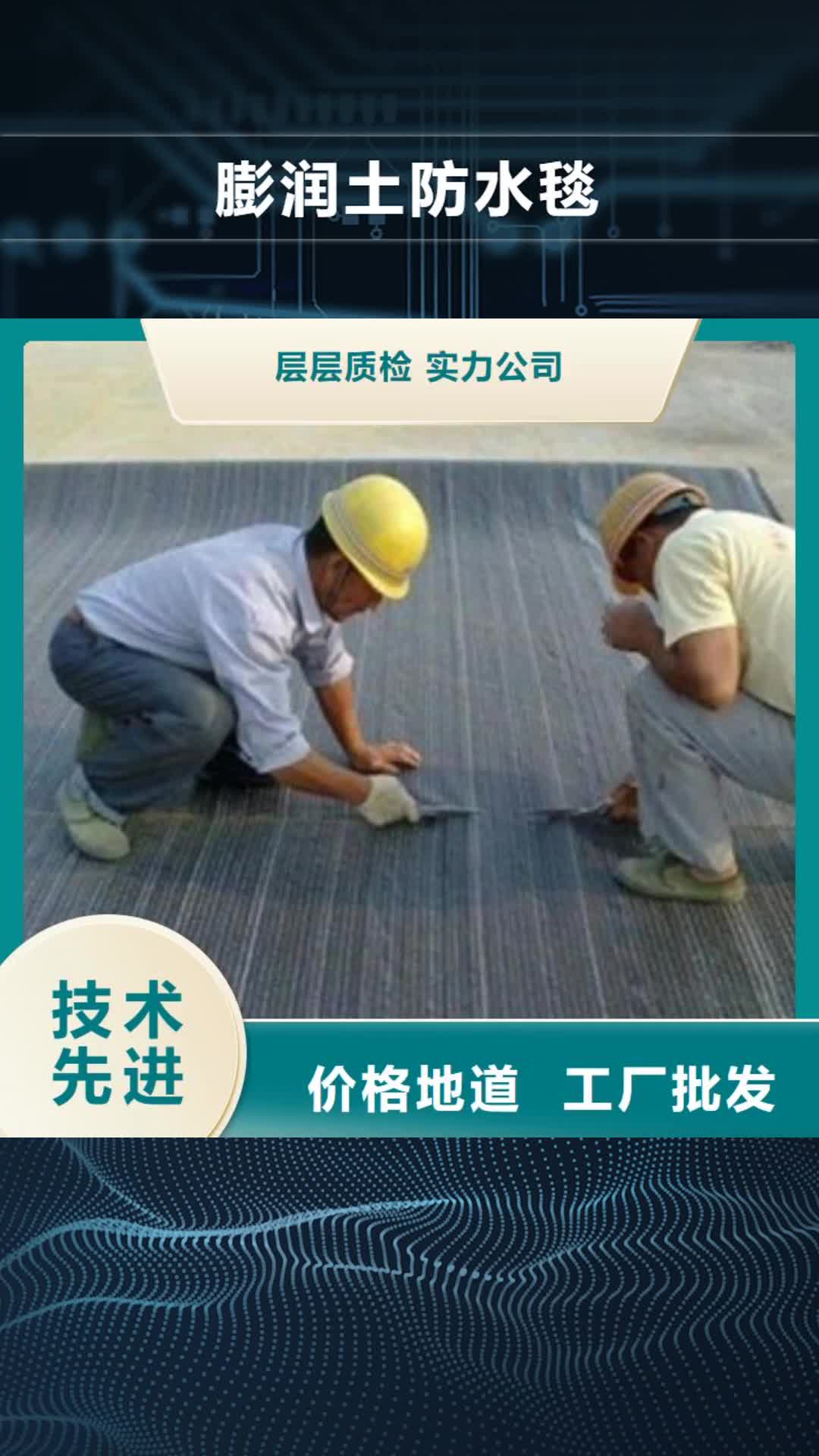 临汾【膨润土防水毯】三维植被网支持拿样
