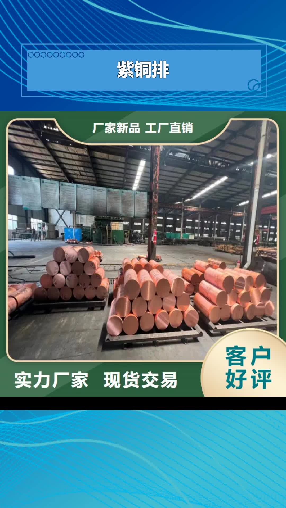 【河源 紫铜排-紫铜带价格实惠工厂直供】