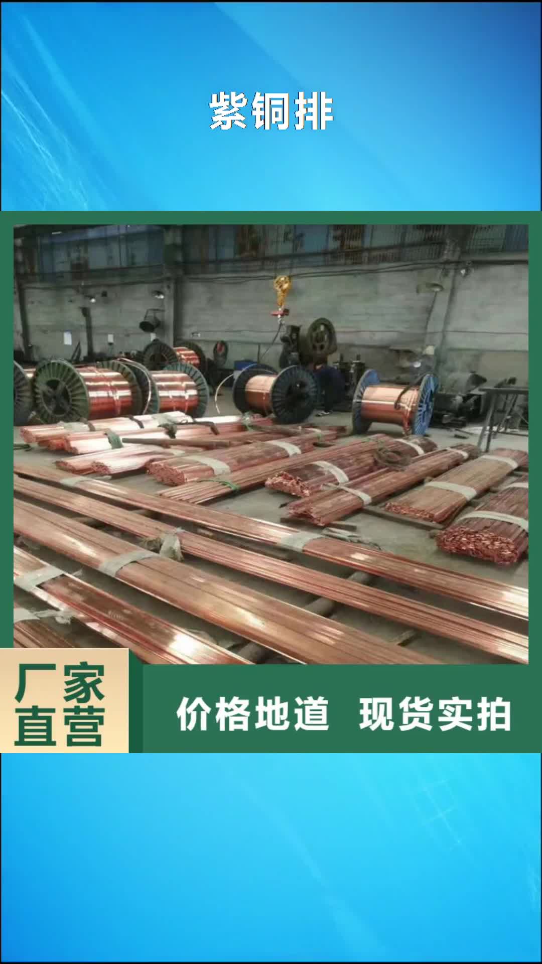 【攀枝花 紫铜排多家仓库发货】