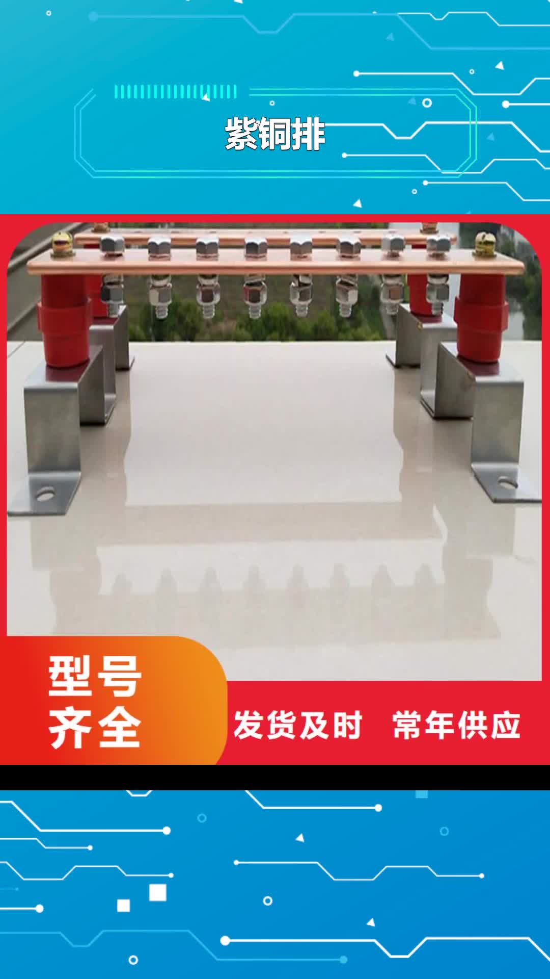 安庆【紫铜排】铜绞线价格有优势