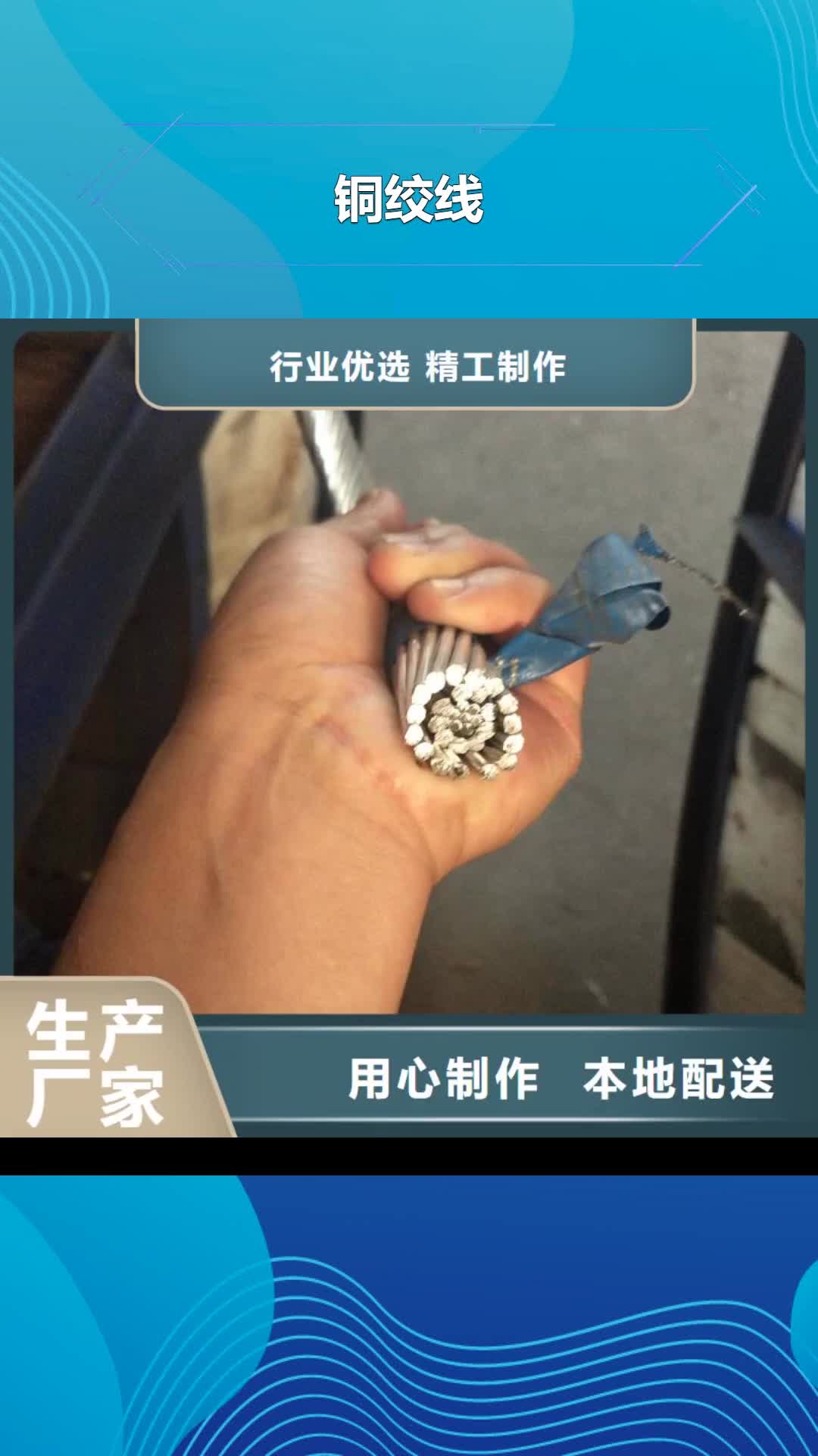 自贡铜绞线欢迎来厂考察
