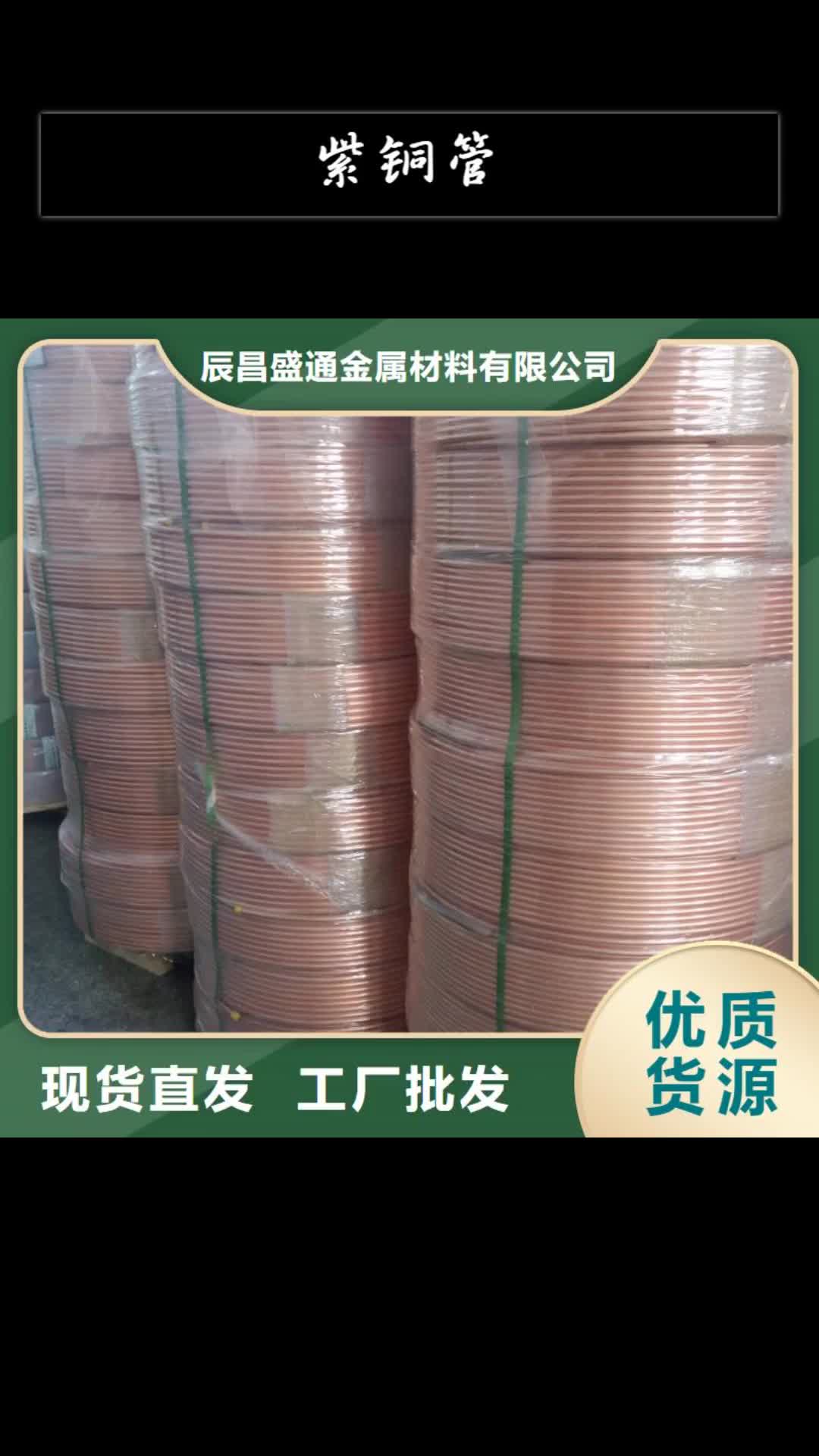 【乌海 紫铜管-紫铜带支持大小批量采购】