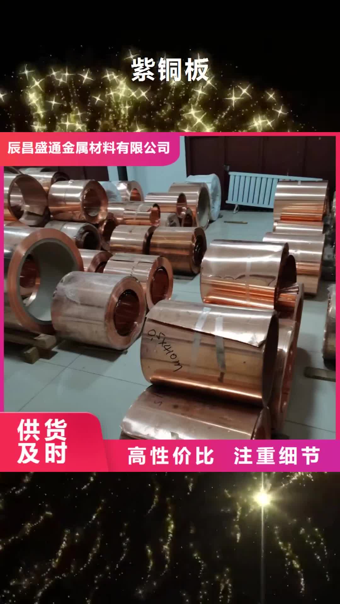 大同紫铜板铜绞线厂家案例