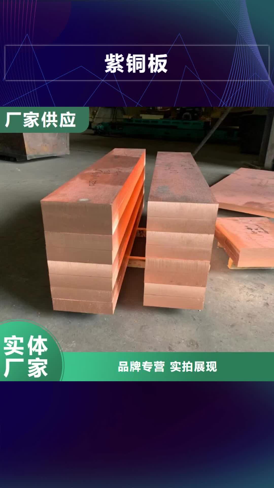 汕头 紫铜板【 紫铜排】批发货源