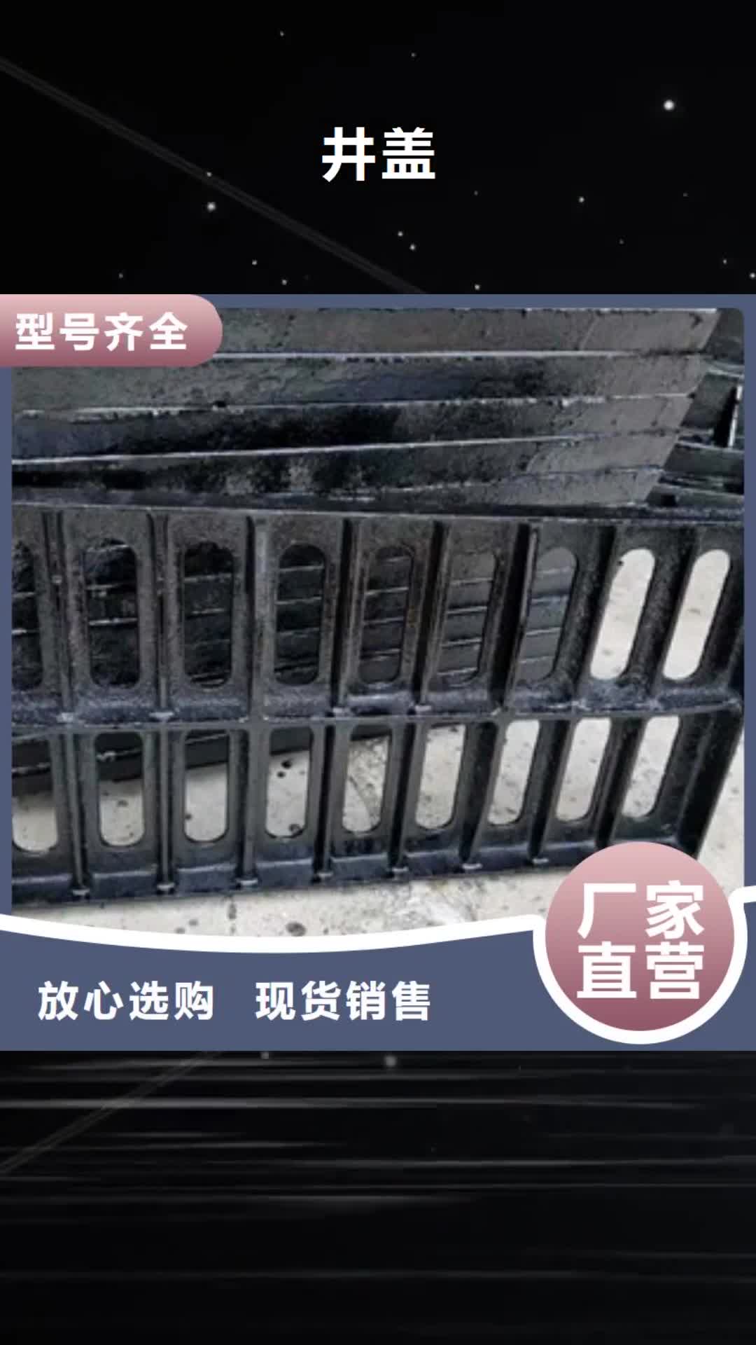 【三亚 井盖_井篦子自有厂家】