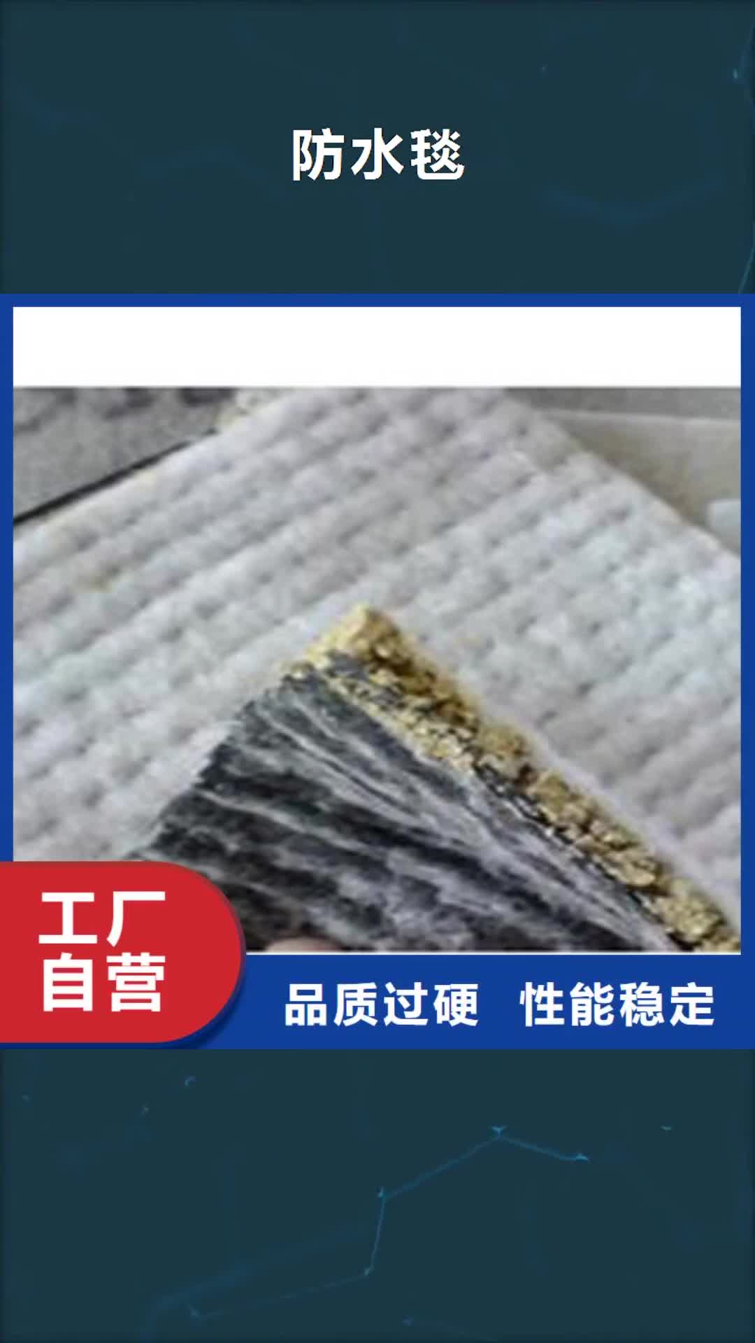 河源 防水毯 【膨润土防水毯厂家】专业的生产厂家