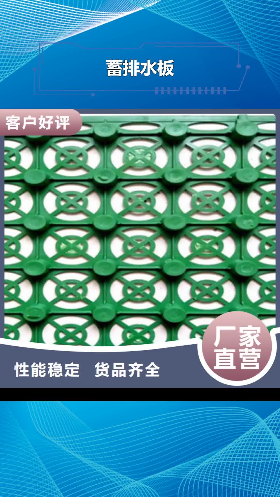【泉州 蓄排水板,虹吸排水板厂家质量不佳尽管来找我】